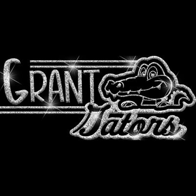 GLT101 SILVER GLITTER Thumbnail