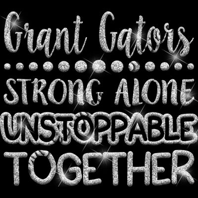 GLT87 SILVER GLITTER Thumbnail